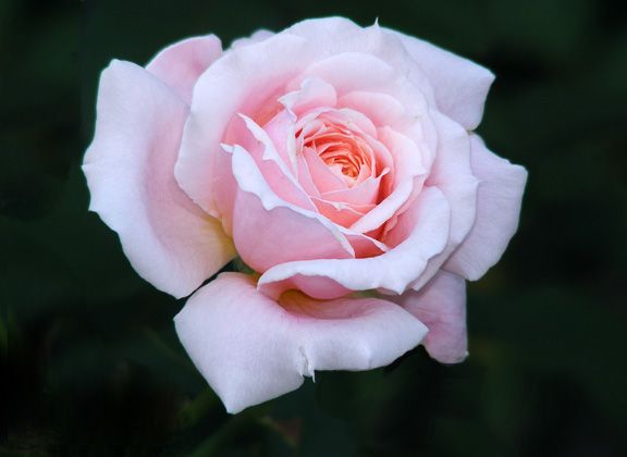 Quietness photo qui2013_08040046_zpsbb47c5e5.jpg